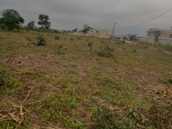 OPPORTUNITÉ TERRAINS A VENDRE – BINGERVILLE (ADJIN)