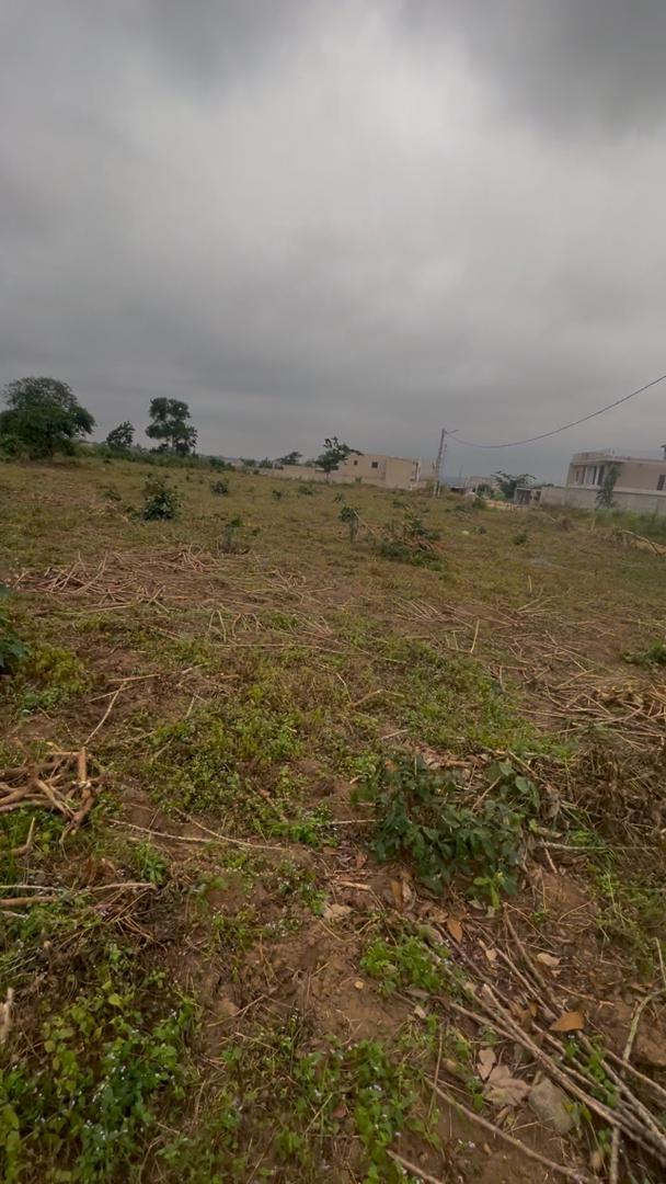 OPPORTUNITÉ TERRAINS A VENDRE – BINGERVILLE (ADJIN)