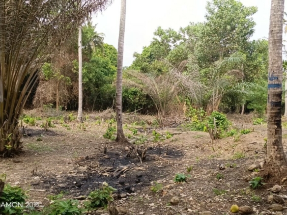 Terrains de 1000 m2 avec une sevitude de 2000m2 pieds dans l’eau Canal de lagune