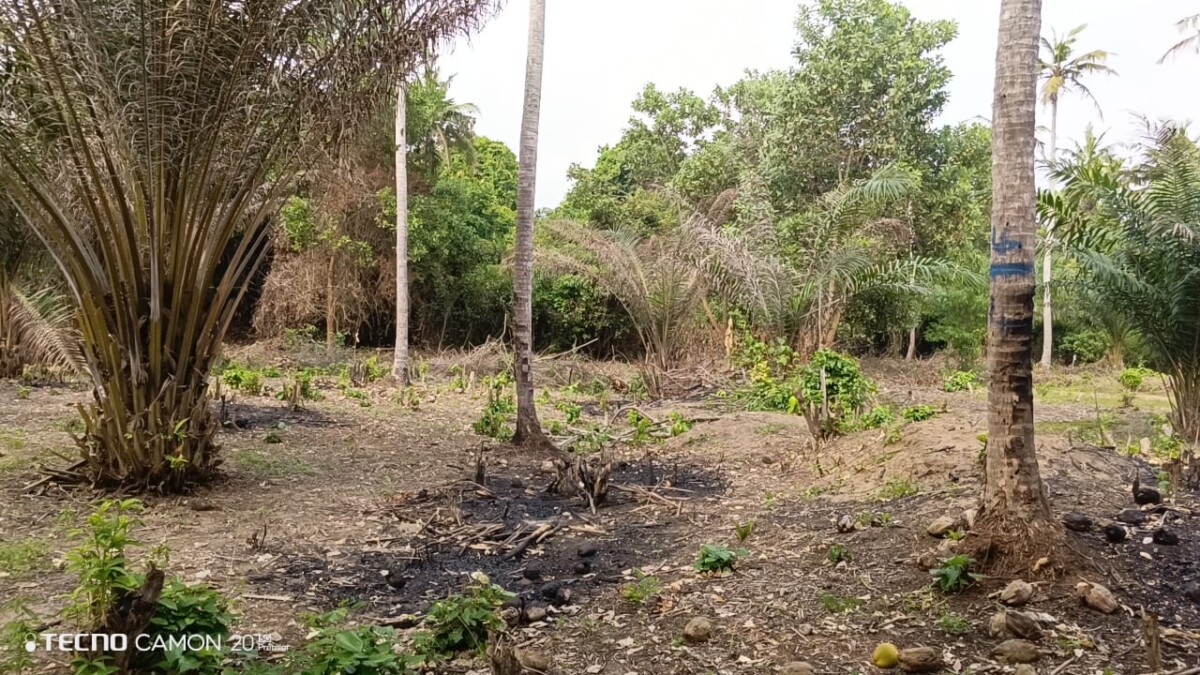Terrains de 1000 m2 avec une sevitude de 2000m2 pieds dans l’eau Canal de lagune