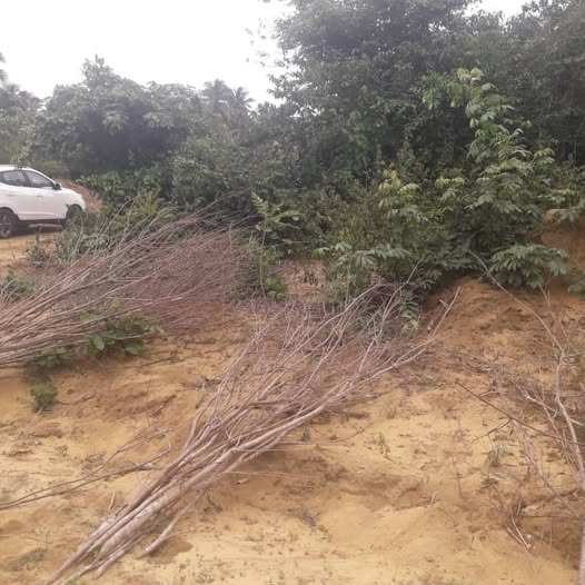 🏝️ OPPORTUNITÉ RARE — Terrain avec ACD à Jacqueville, Quartier Millionnaire Centre Est