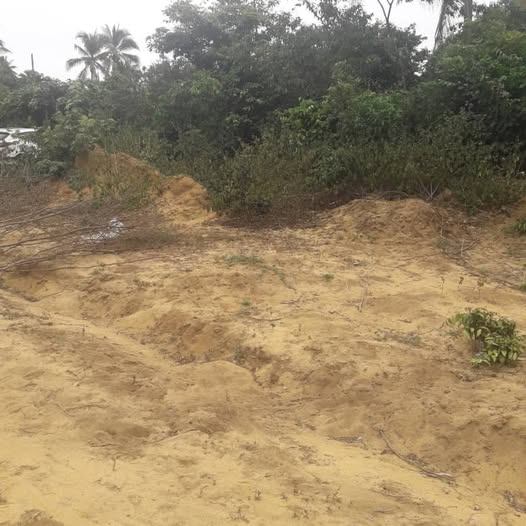 🏝️ OPPORTUNITÉ RARE — Terrain avec ACD à Jacqueville, Quartier Millionnaire Centre Est