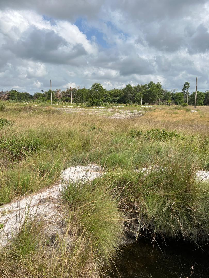 VENTE DE TERRAINS 600 m2 – ASSINIE (ASSOUINDE LA BAIE) AVEC ACD