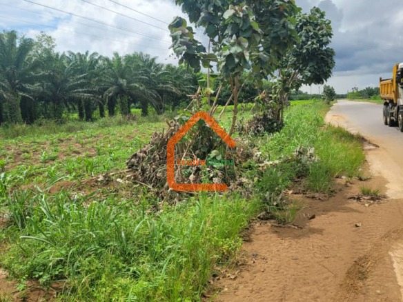 🔥 OPPORTUNITÉ RARE : 50 HECTARES EN BORDURE DE ROUTE À ADIAKÉ
