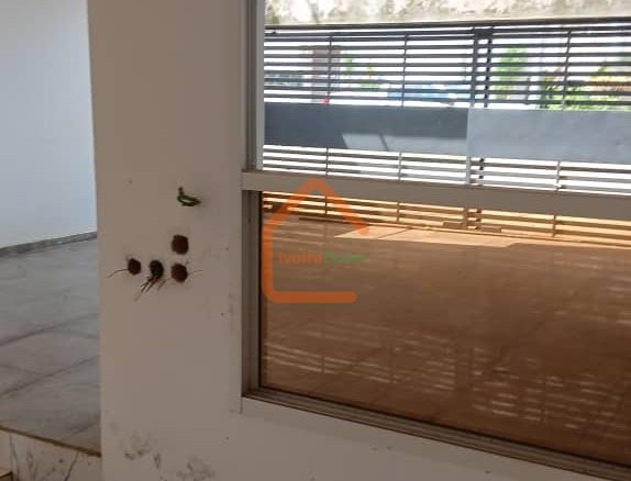 VENTE EXCEPTIONNELLE – BINGERVILLE