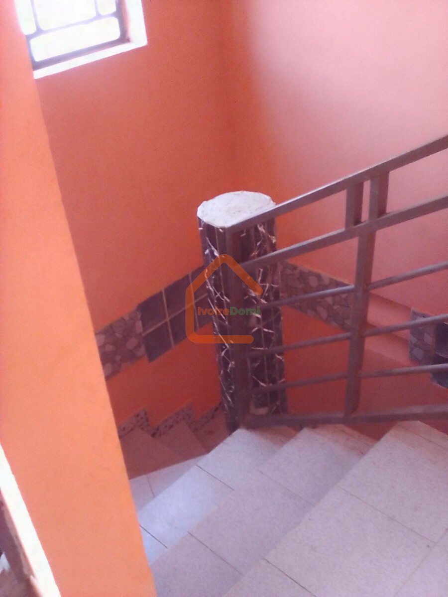 Appartement 2 pieces en location