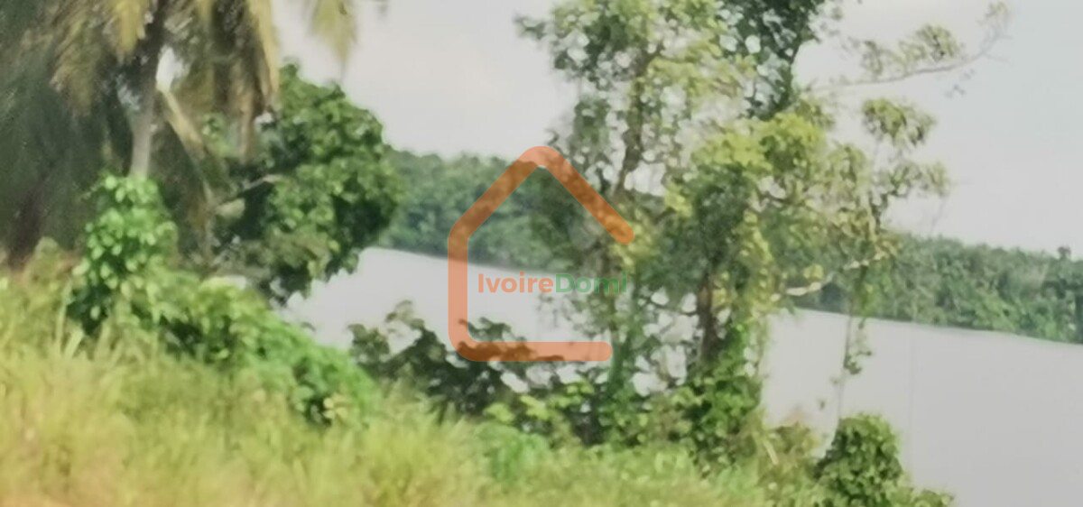 Terrain rare à Assinie 1, 5Ha avec ACD en vente en bordure de lagune