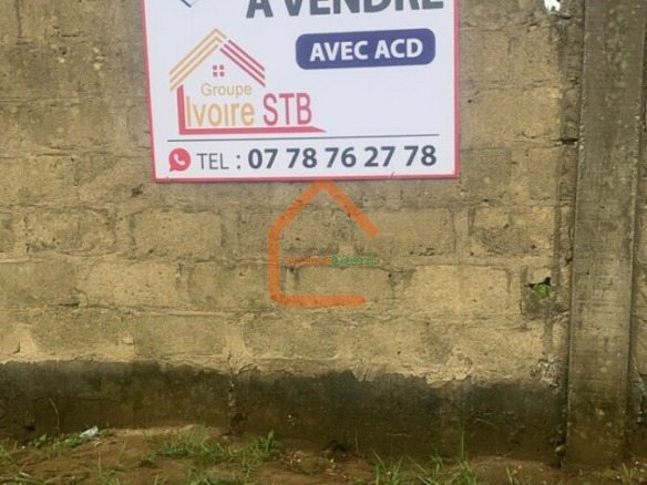Terrain de 293 M2 à vendre à Akandje ( Bingerville)avec ACD ,