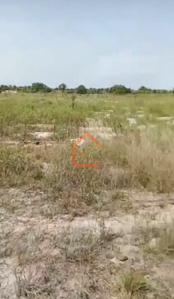 Terrain 8 hectares Baie des milliardaires