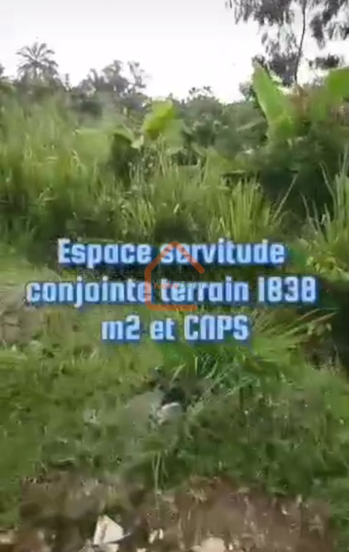 Terrain de 1838 m2 à vendre à Cocody ambassade