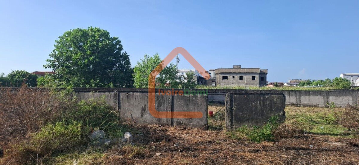 TERRAINS DE 800m² EN VENTE 📍 BASSAM, Quartier Mockeville