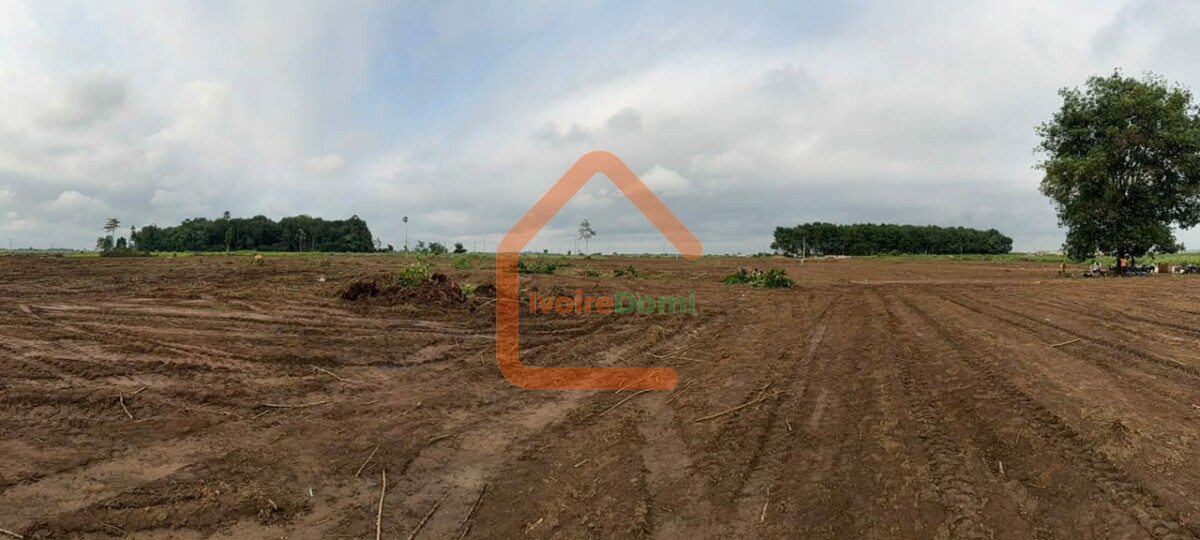 400m2 en bordure de voie Y4 non loin du carrefour jacqueville