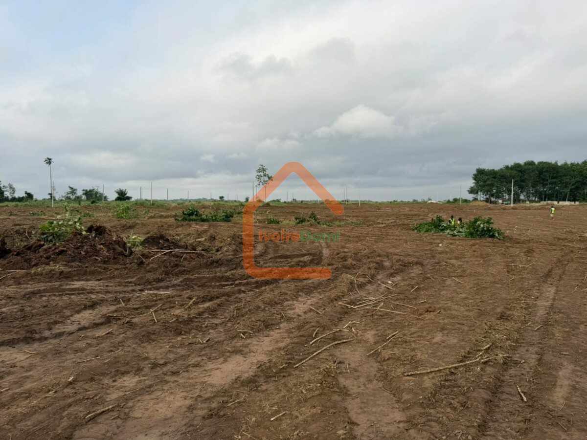 400m2 en bordure de voie Y4 non loin du carrefour jacqueville