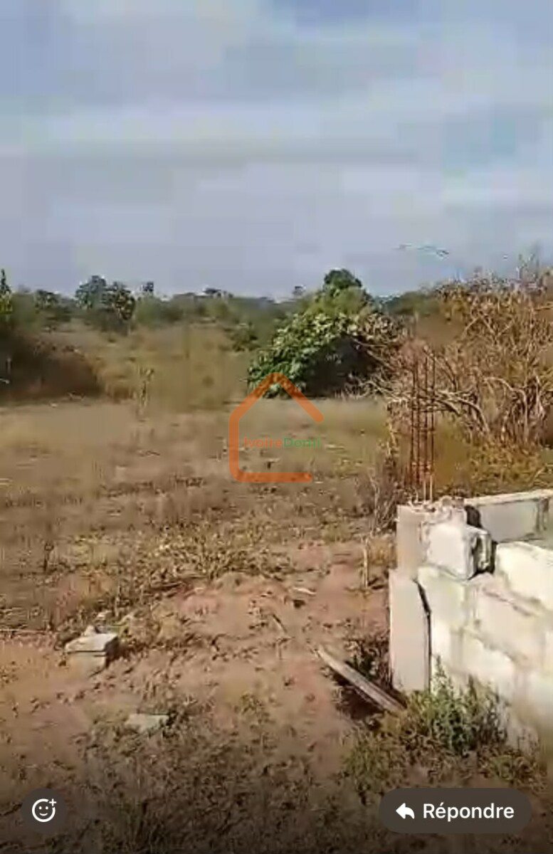Vente d’un Terrain de 1097 m2 a yamoussoukro