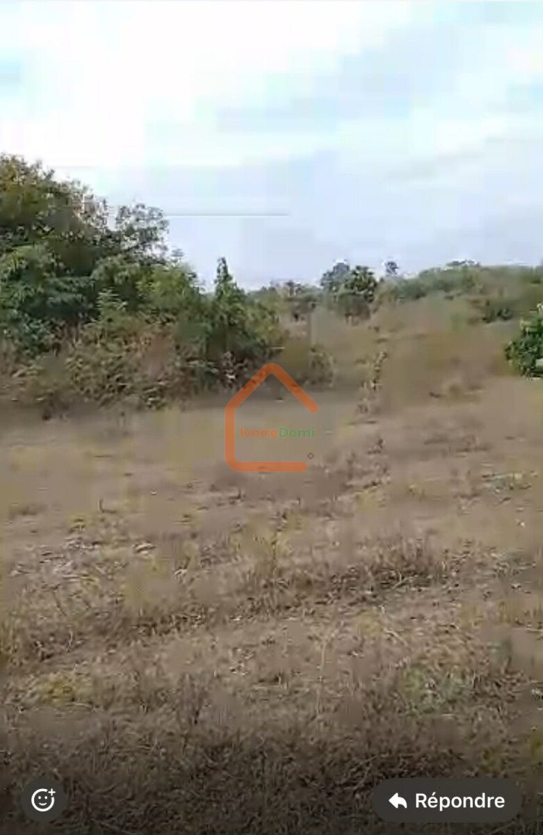 D’un Terrain de 1097 m2 a yamoussoukro