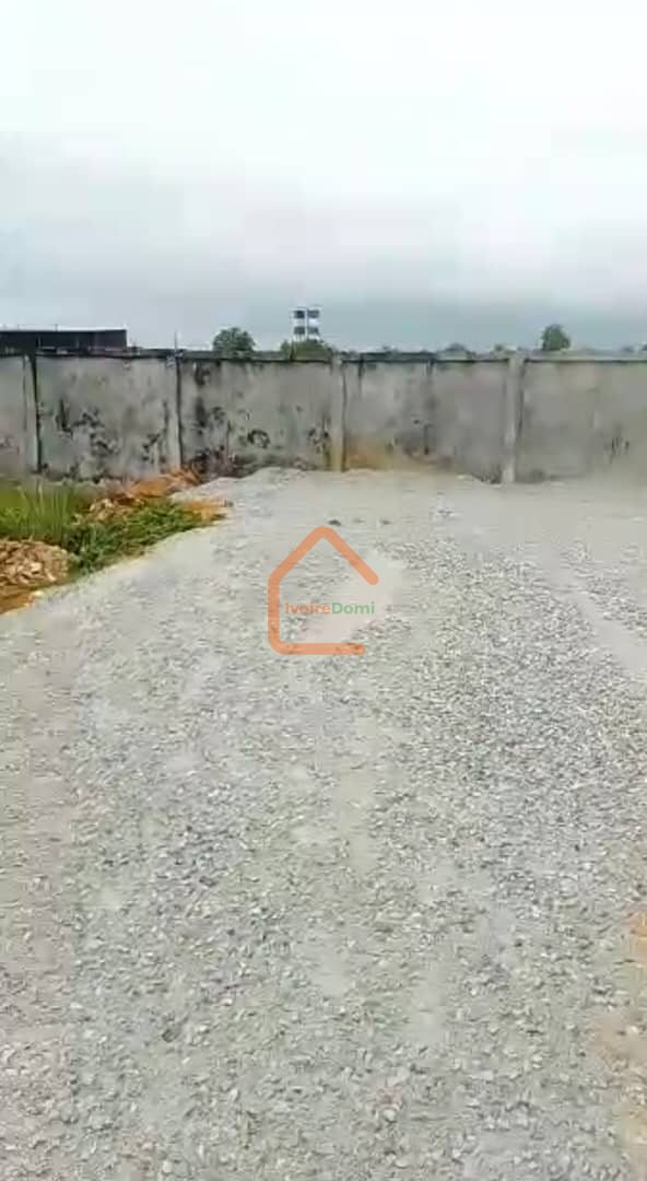 BONNE AFFAIRE/TERRAIN STRATEGIQUE EN VENTE/AUTOROUTE DE BASSAM à 120 m du goudron