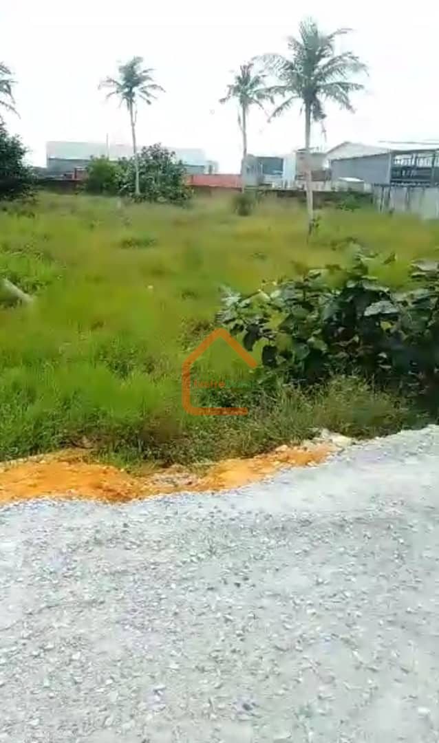 BONNE AFFAIRE/TERRAIN STRATEGIQUE EN VENTE/AUTOROUTE DE BASSAM à 120 m du goudron