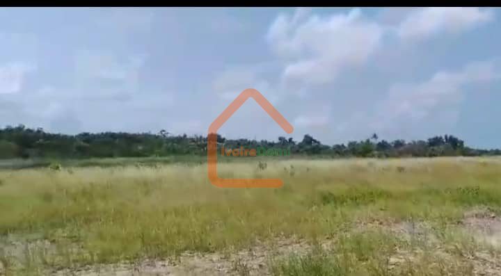 TERRAIN DE 6O HECTARES PIEDS DANS L’EAU AVEC ACD/ MORCELLEMENT à PARTIR DE 1000m2
