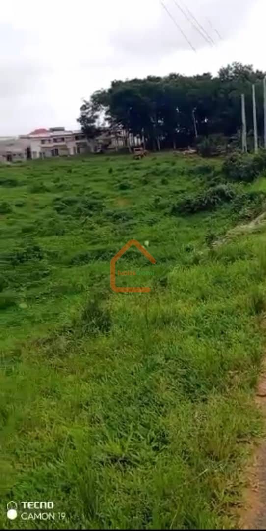 D’UNE PARCELLE DE 4 HECTARES CLÔTURÉE EN BORDURE DE MER