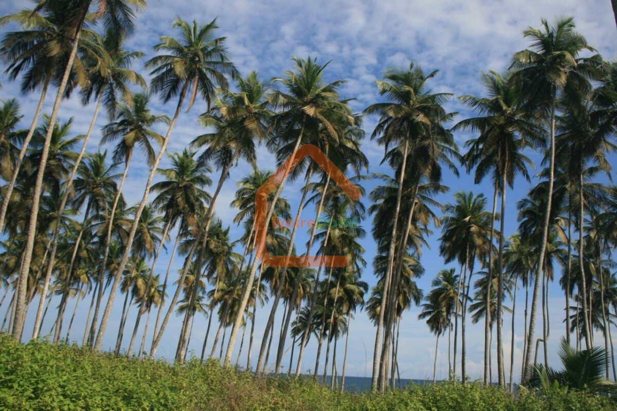 Terrains à vendre à Jacqueville N’Djem_400 m²