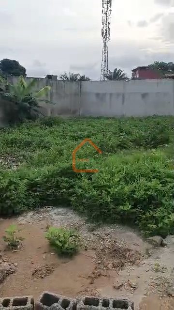 TERRAIN À VENDRE – BINGERVILLE NGOTTO