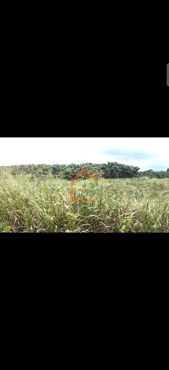 Terrain 500m2 à Adiaké près de l’université