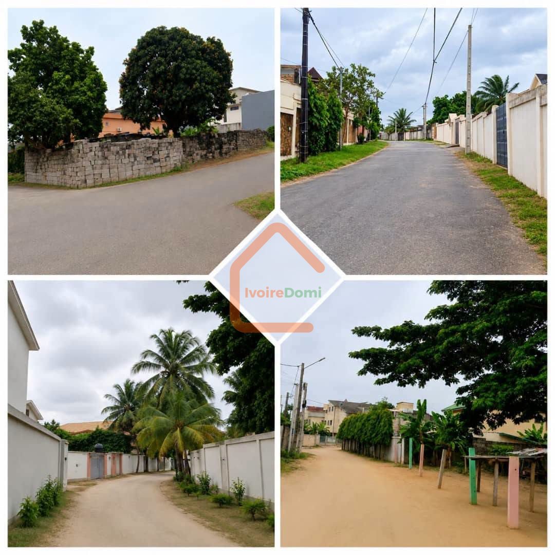 TERRAIN EN VENTE RIVIERA PALMERAIE