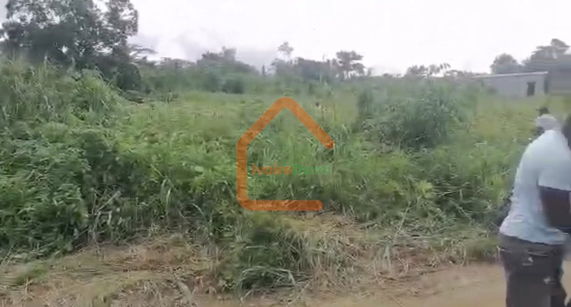 2 lot de 500 m2 a vendre