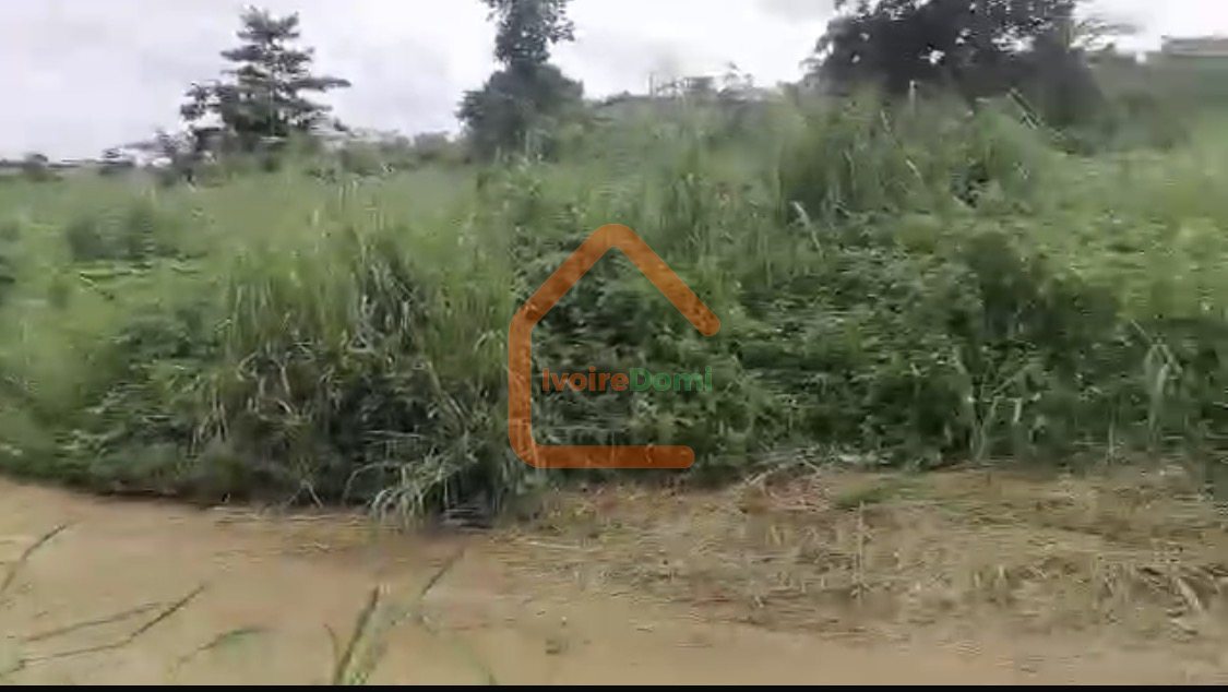 2 lot de 500 m2 a vendre