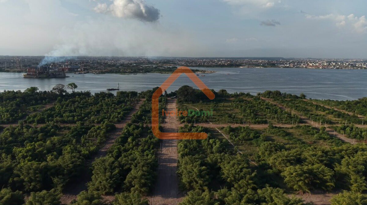 🏡 𝐀̀ 𝐕𝐄𝐍𝐃𝐑𝐄 𝐋𝐎𝐓𝐒 𝐁𝐀̂𝐓𝐈𝐒𝐒𝐀𝐁𝐋𝐄𝐒 📍 Bingerville – Après le Palais, en bordure