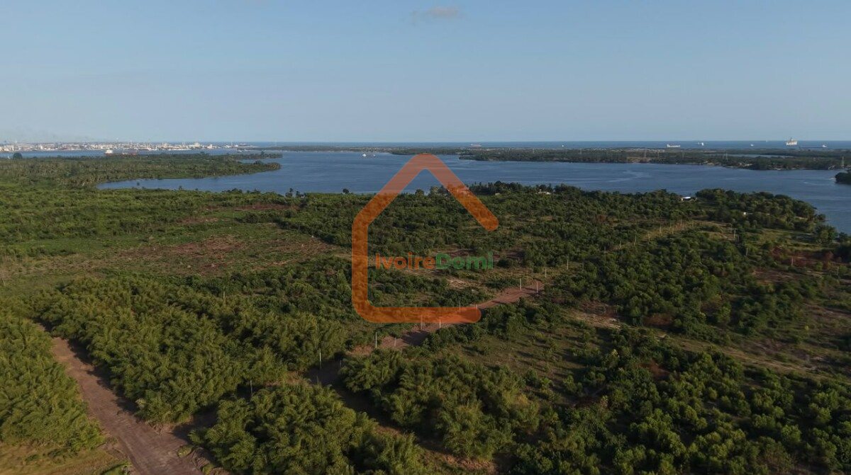 🏡 𝐀̀ 𝐕𝐄𝐍𝐃𝐑𝐄 𝐋𝐎𝐓𝐒 𝐁𝐀̂𝐓𝐈𝐒𝐒𝐀𝐁𝐋𝐄𝐒 📍 Bingerville – Après le Palais, en bordure