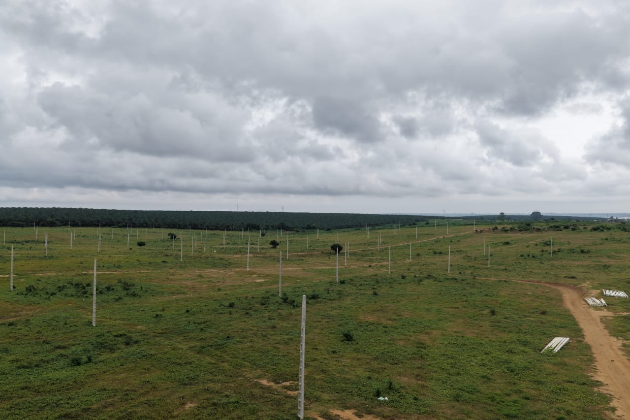 Vente terrain à akouê agban