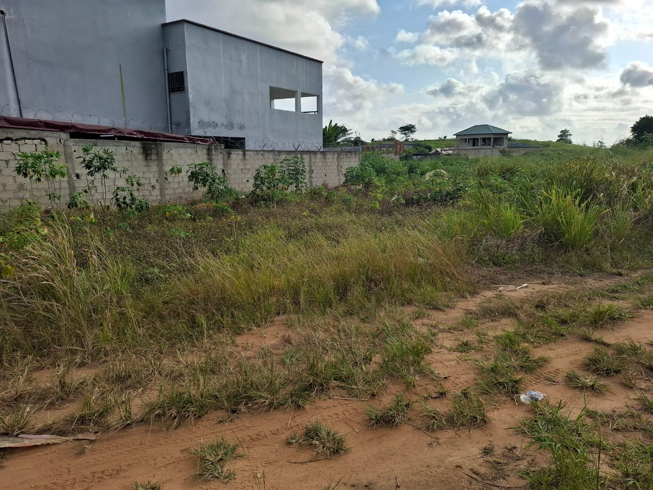 Terrain de 300 m2 avec à Songon