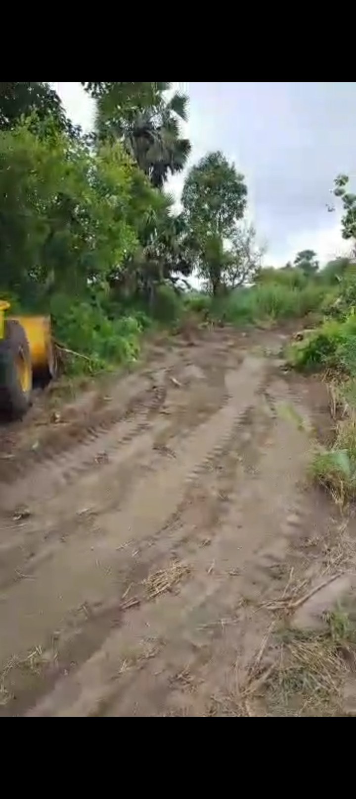 Terrain en vente à Sakiare sur l’axe Yamoussoukro – Tiebissou