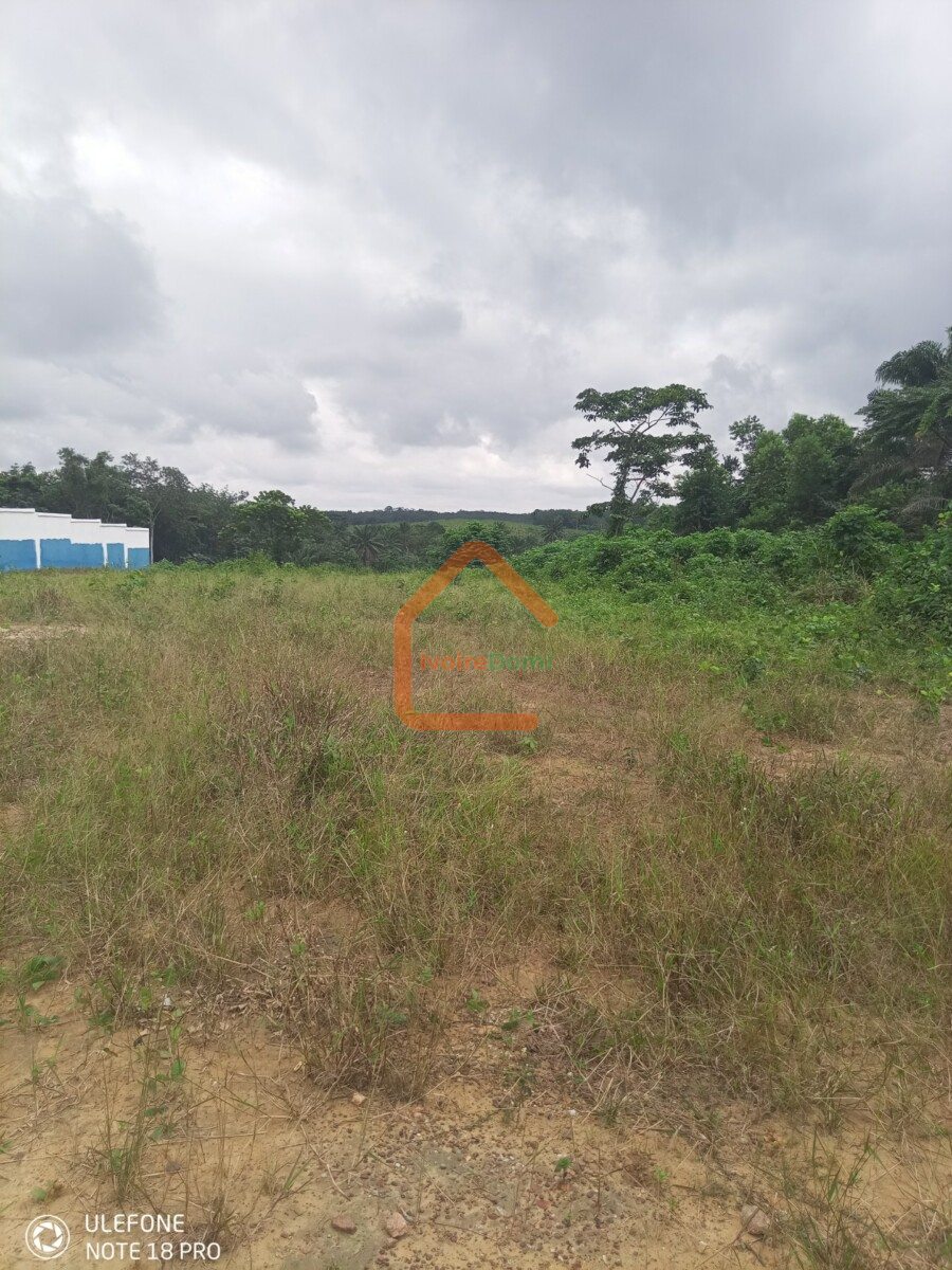 Vente de terrain à Azaguié