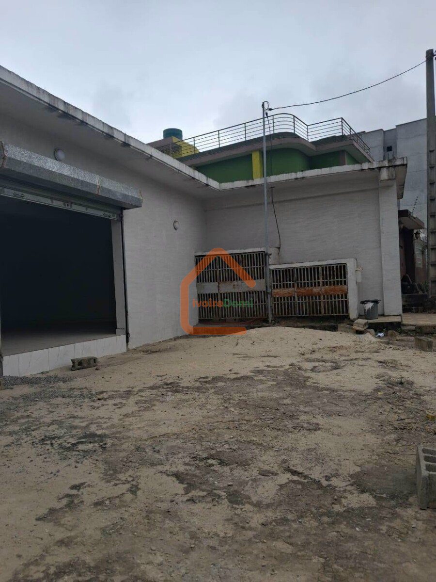 MAGASIN EN LOCATION