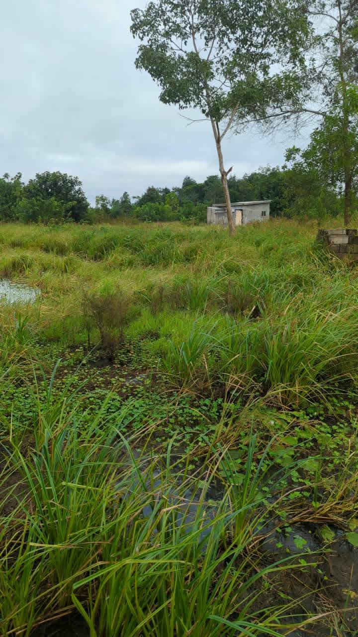 TERRAIN EN VENTE