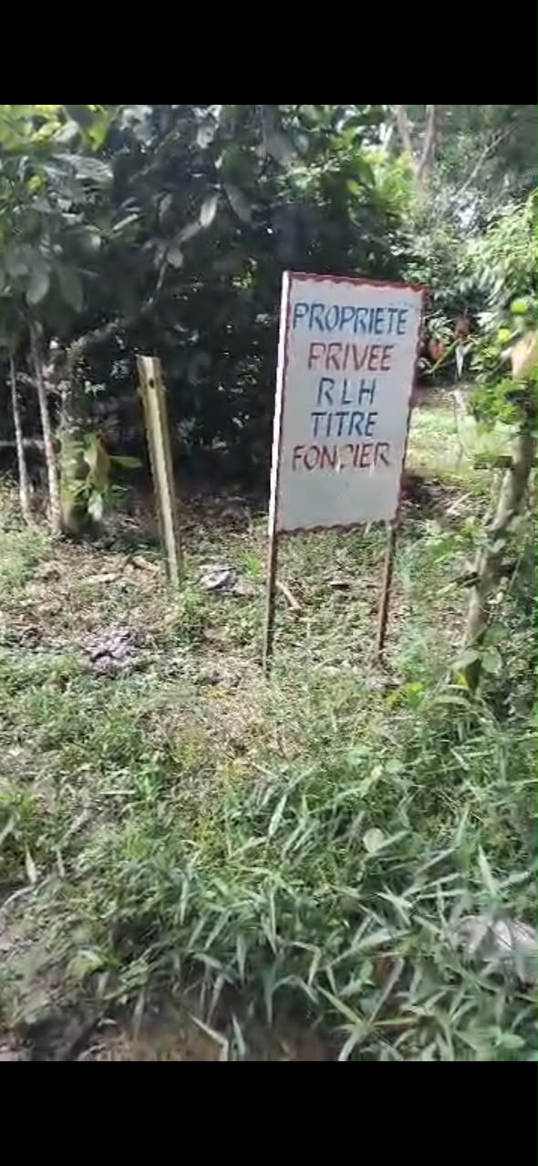 Parcelle 25 ha Yakassé-Mé ! A saisir !