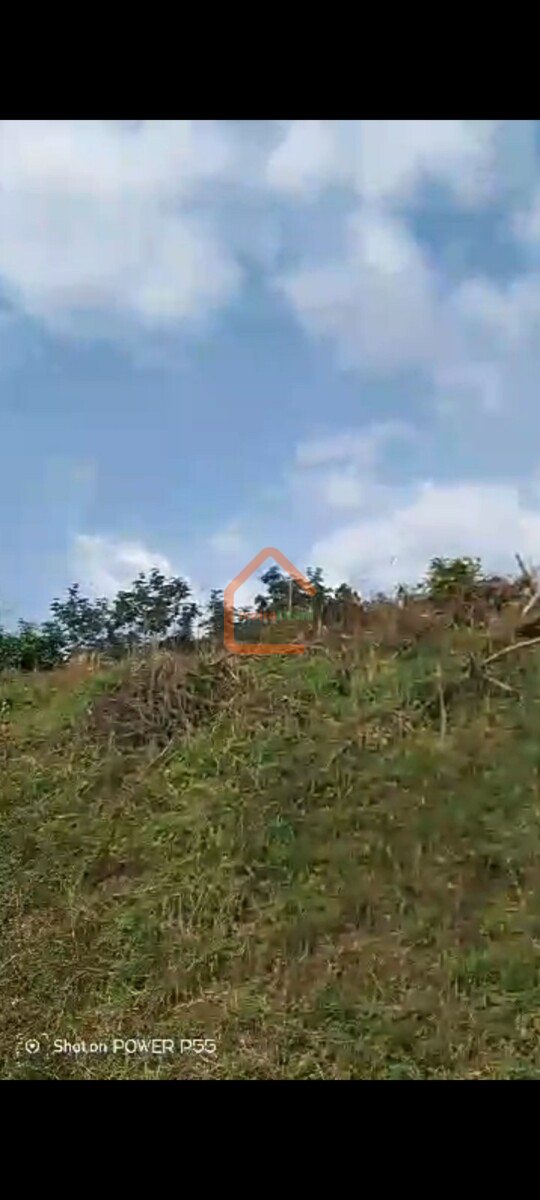 Terrain Elibou