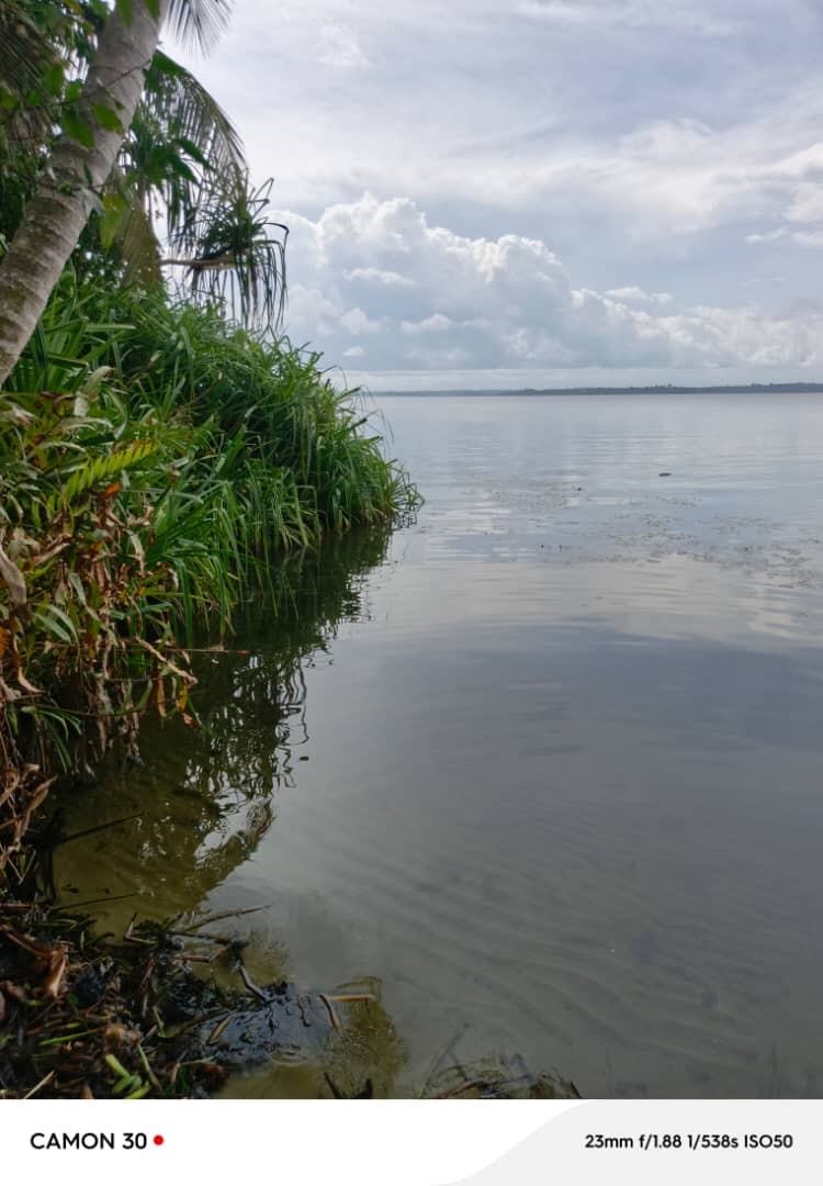 Vente de terrain à jacqueville