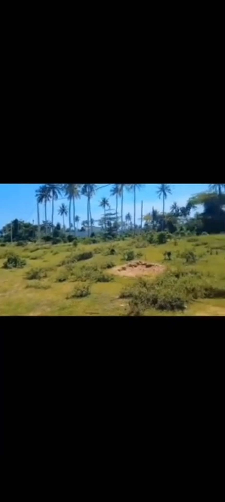 Vente terrain jacqueville