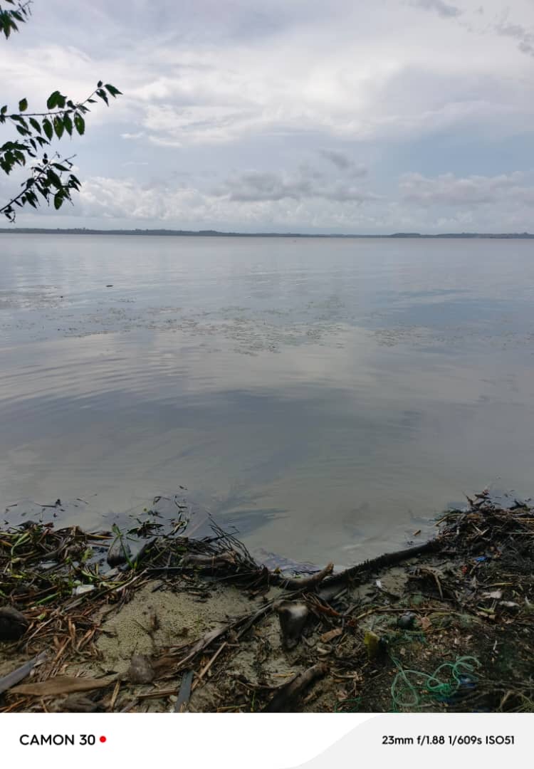 Vente de terrain à jacqueville