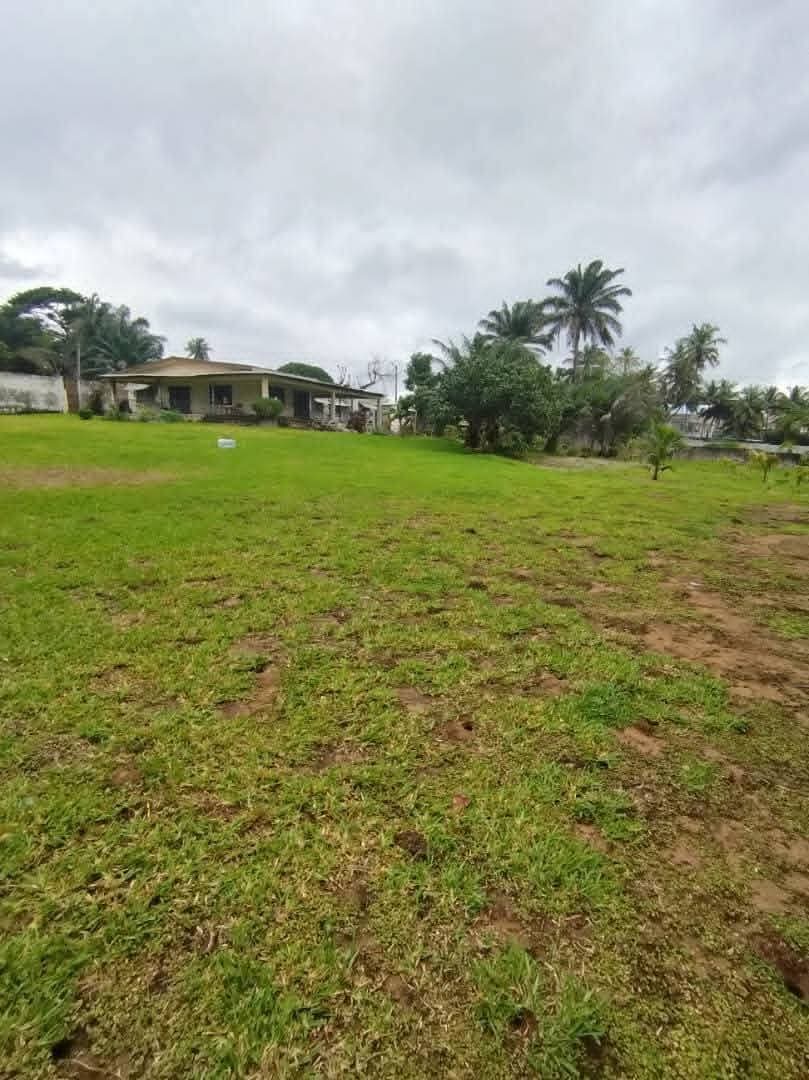 Terrain en vente à locodjro