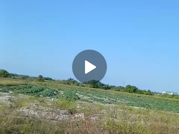 Bassam 6 ha à céder avec un acd