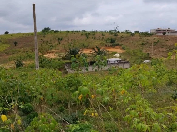 400 m2 à songon m’brathe acd