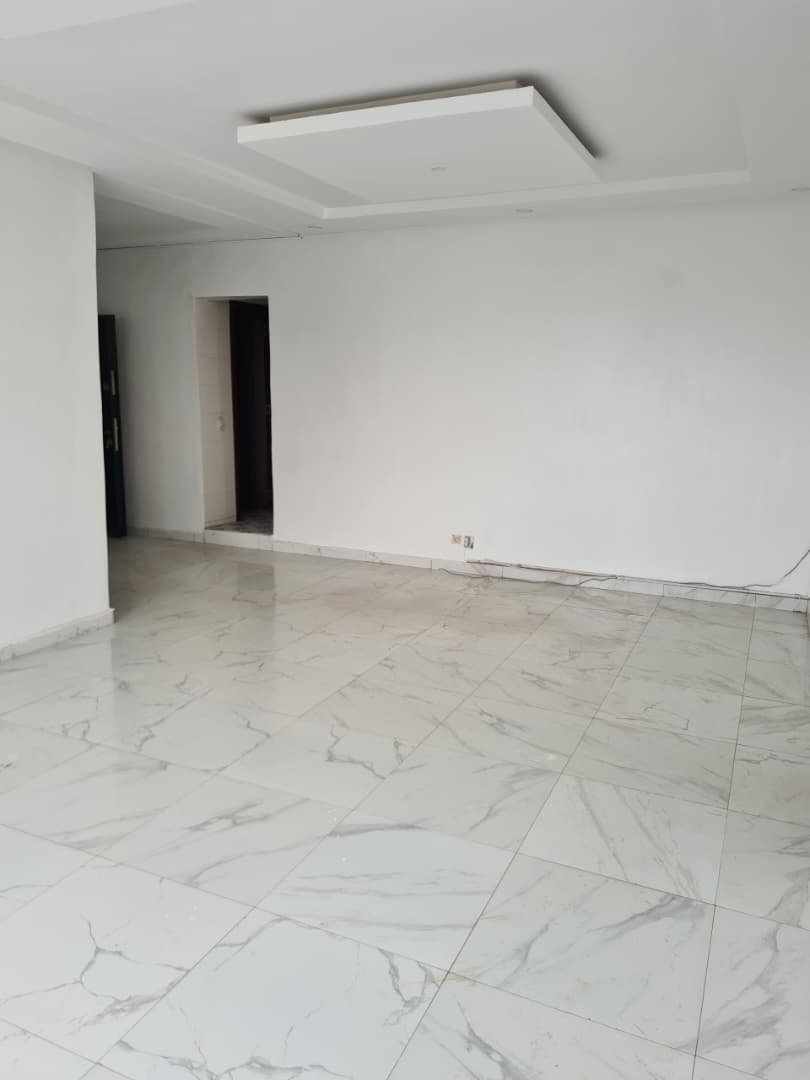 APPARTEMENT 3 PIECES CHU ANGRE