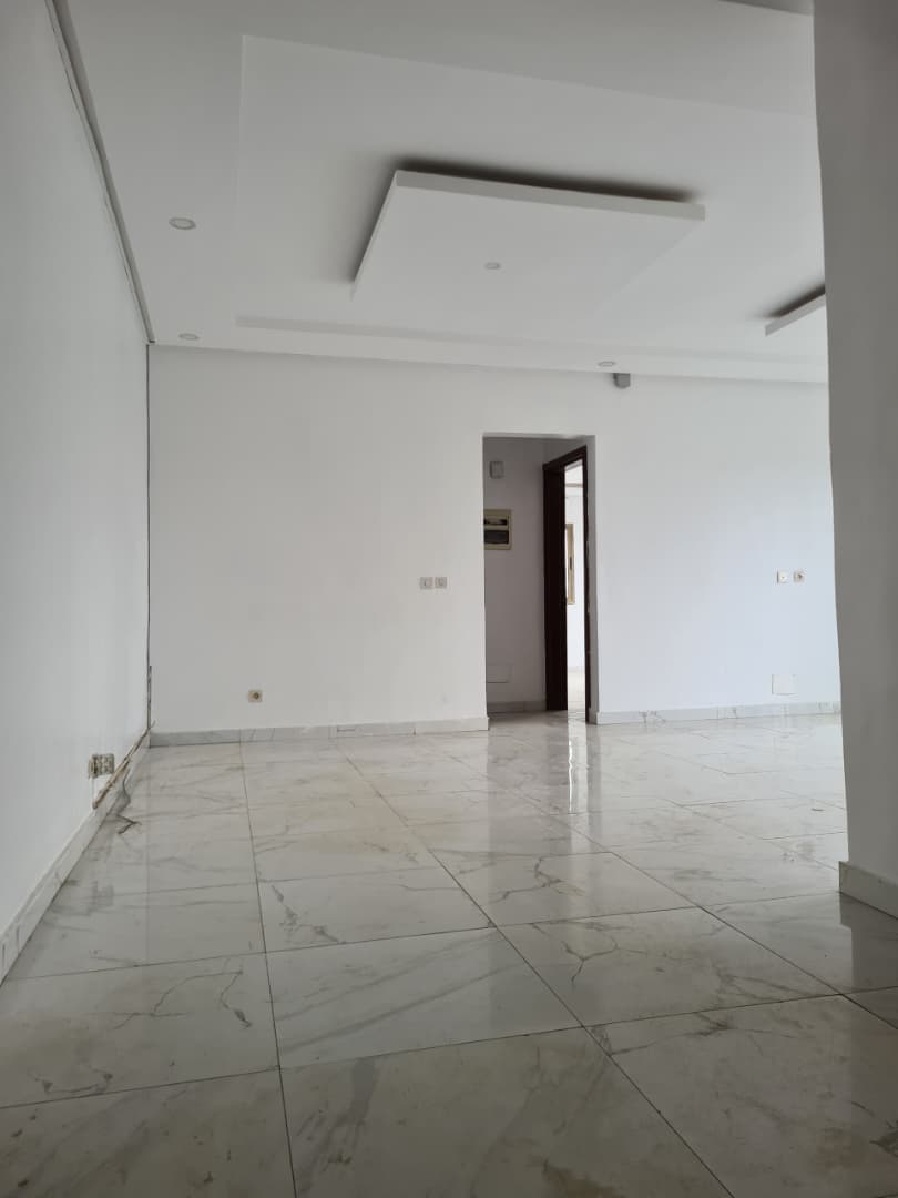 APPARTEMENT 3 PIECES CHU ANGRE