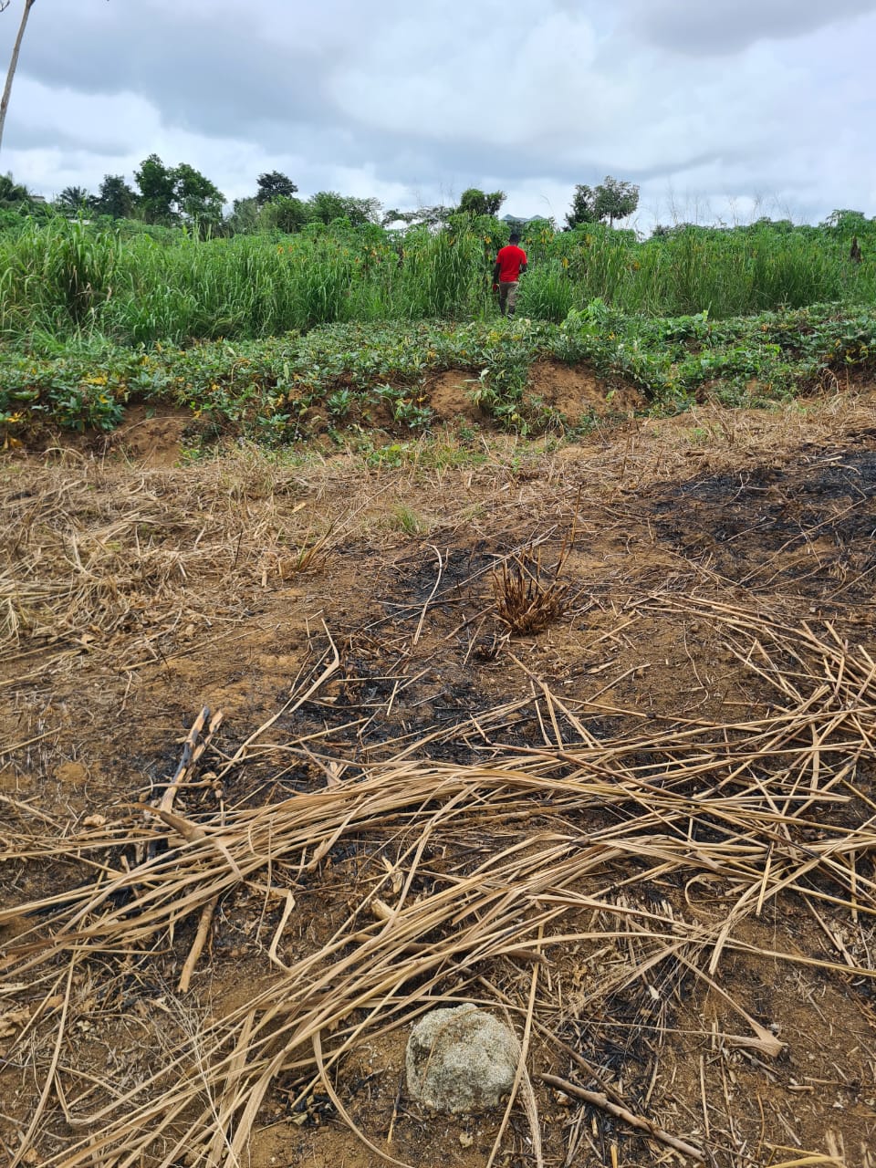 VENTE TERRAIN A SONGON GRAVIER