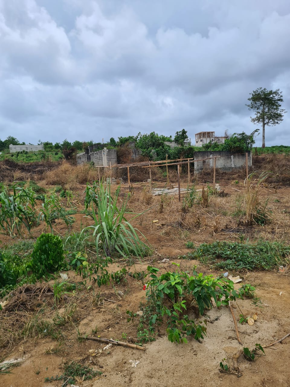VENTE TERRAIN A SONGON GRAVIER