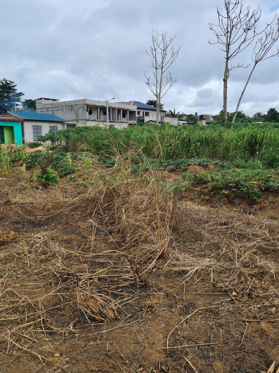 VENTE TERRAIN A SONGON GRAVIER